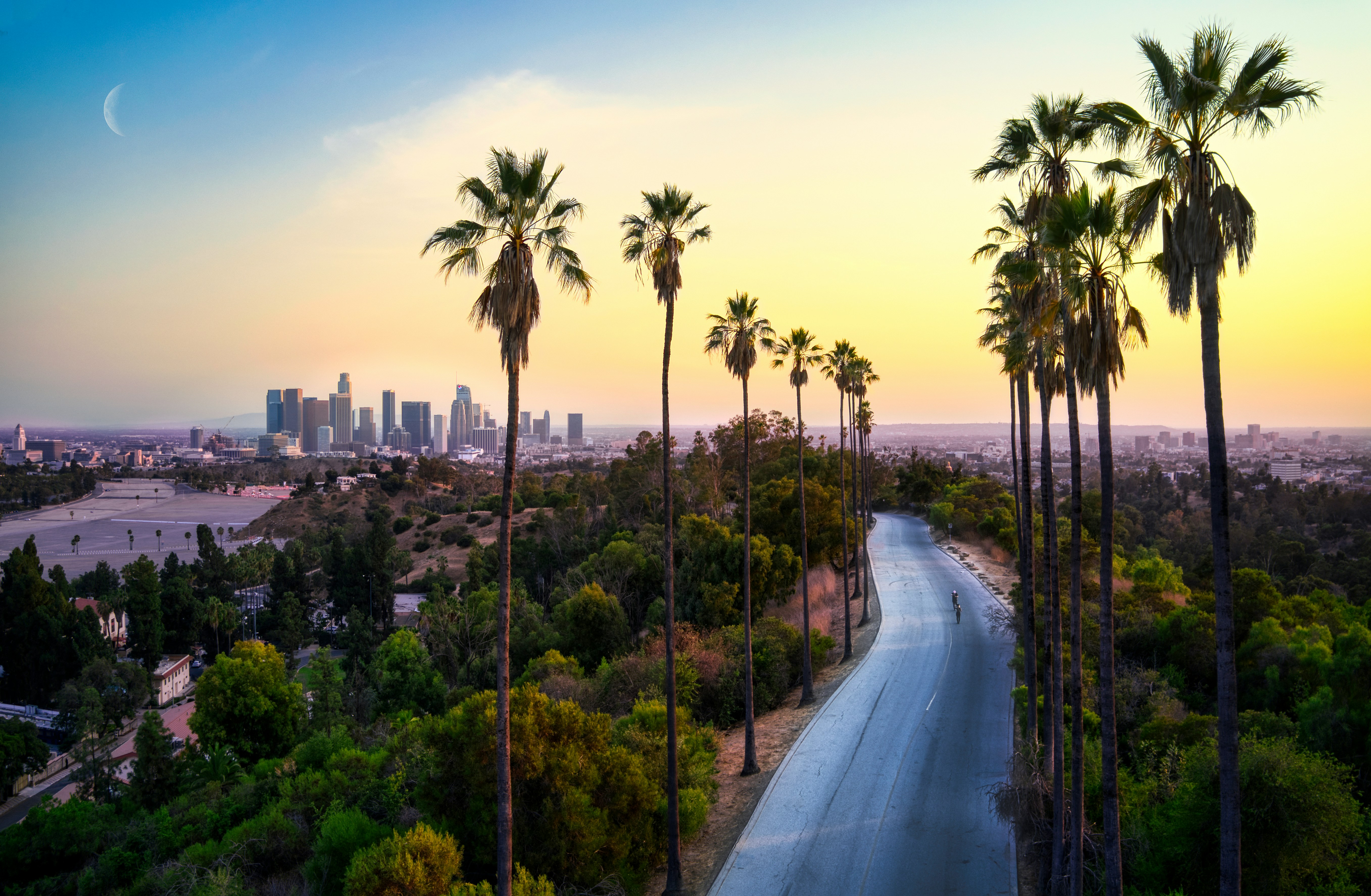 Palm trees and Los Angeles skyline at sunset